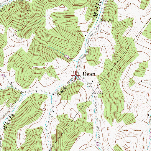 Topographic Map of White Run, WV