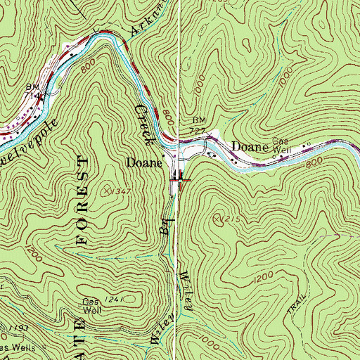 Topographic Map of Wiley Branch, WV