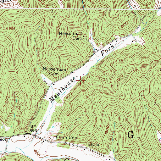 Topographic Map of Nesselroad, WV