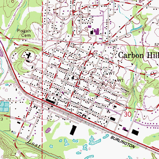 Topographic Map of Carbon Hill, AL