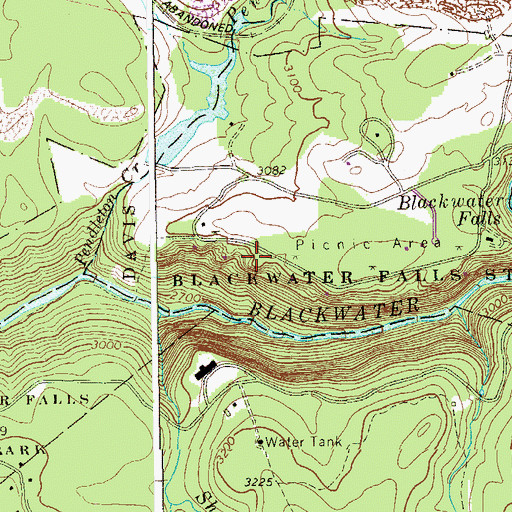 Topographic Map of Blackwater Falls State Park, WV