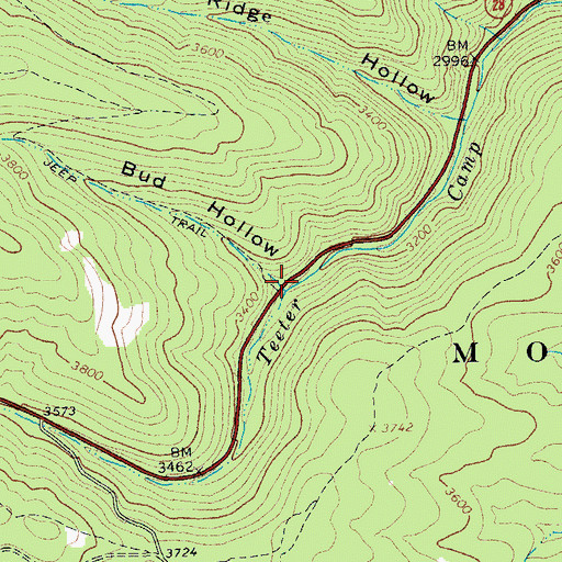 Topographic Map of Bud Hollow, WV