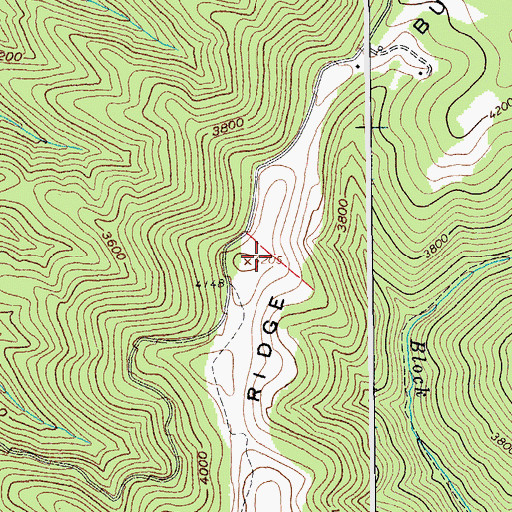 Topographic Map of Buffalo Ridge, WV