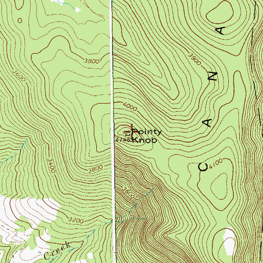 Topographic Map of Canaan Mountain, WV
