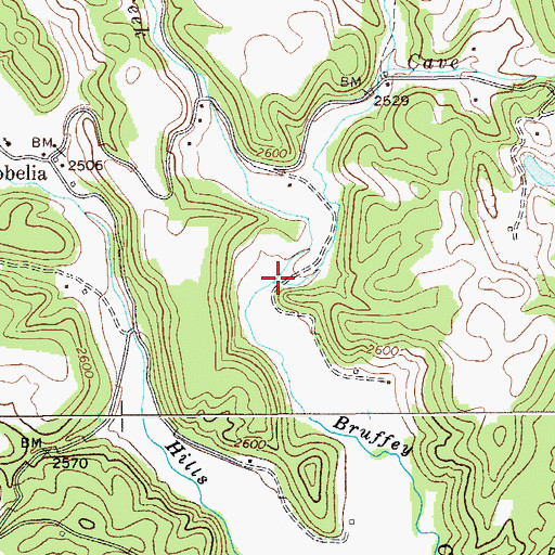 Topographic Map of Cave Run, WV
