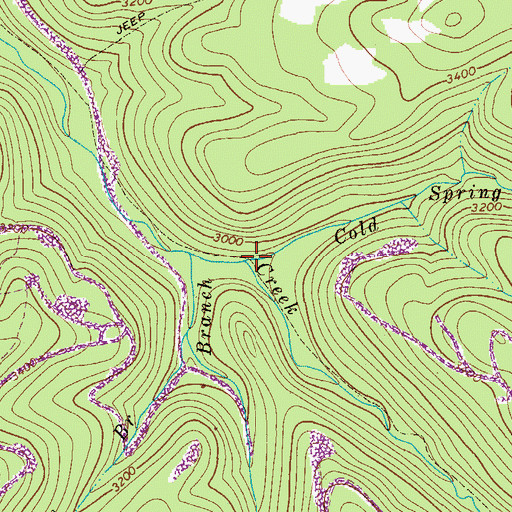 Topographic Map of Cold Spring Branch, WV