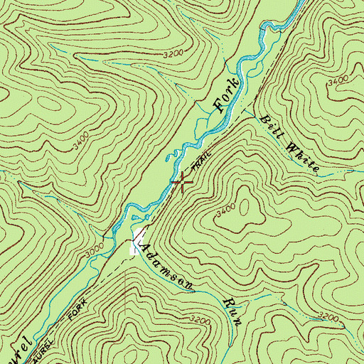 Topographic Map of Laurel Fork Trail, WV