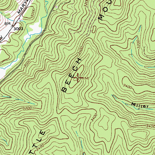 Topographic Map of Little Beech Mountain, WV