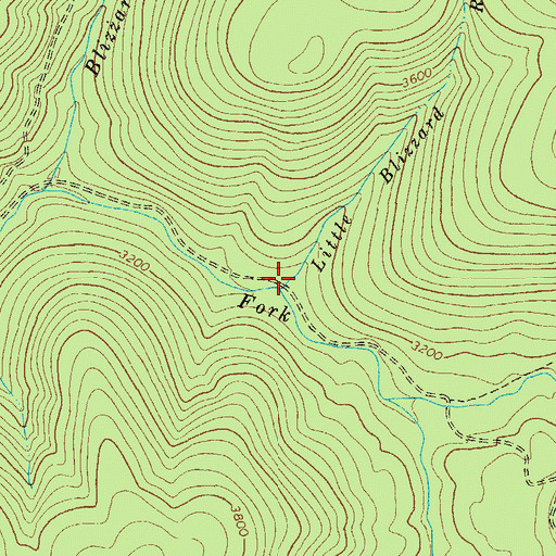 Topographic Map of Little Blizzard Run, WV