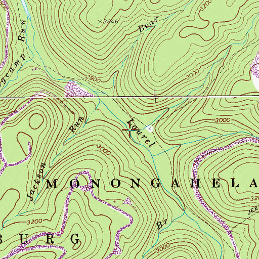 Topographic Map of Manning Branch, WV