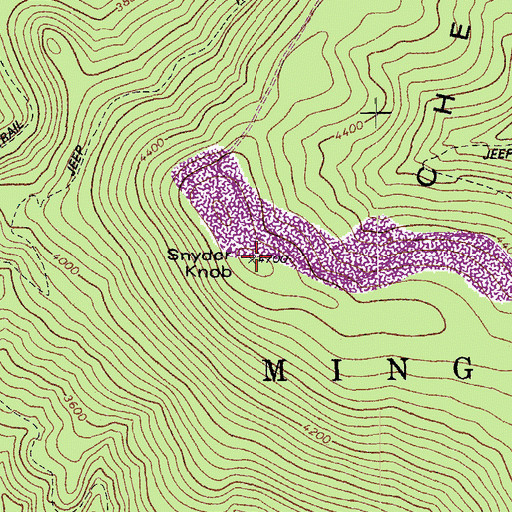Topographic Map of Snyder Knob, WV