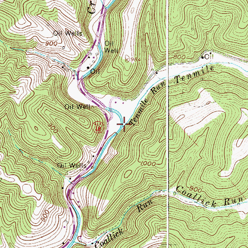 Topographic Map of Tenmile Run, WV