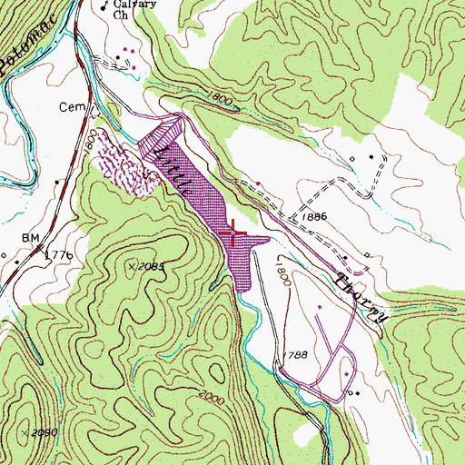 Topographic Map of Thorny Run, WV