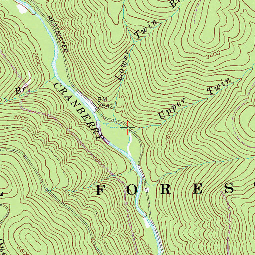 Topographic Map of Upper Twin Branch, WV