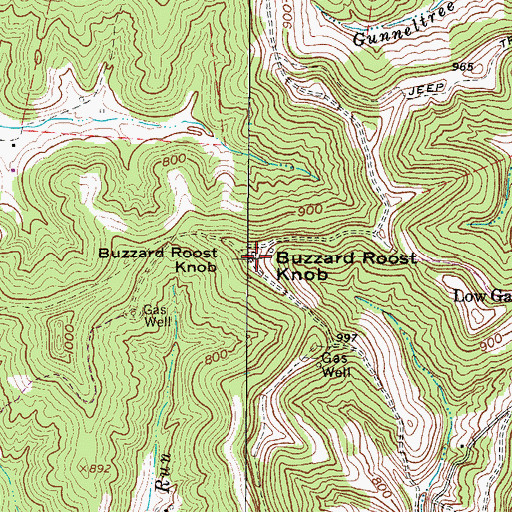 Topographic Map of Buzzard Roost Knob, WV