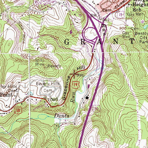 Topographic Map of Grapevine Hill, WV