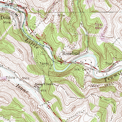 Topographic Map of Rosebud, WV