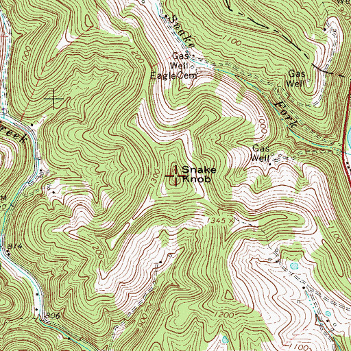Topographic Map of Snake Knob, WV