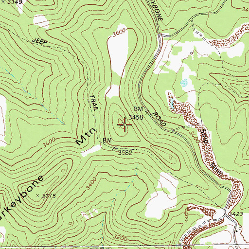 Topographic Map of Turkeybone Mountain, WV