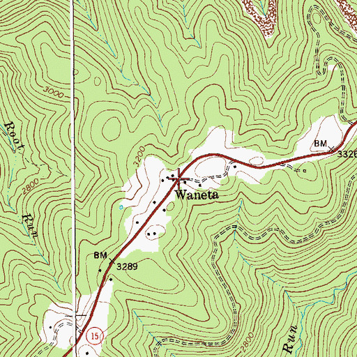 Topographic Map of Waneta, WV