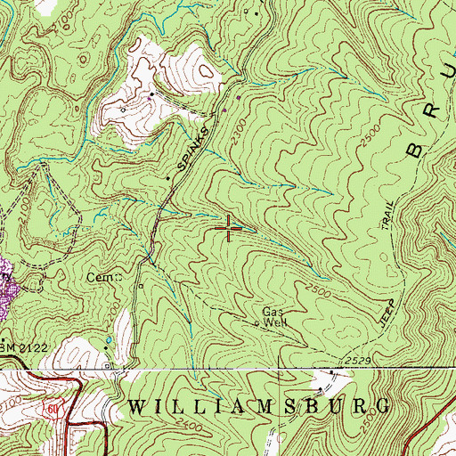 Topographic Map of Johnson Truck Spring, WV