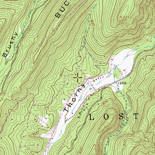Topographic Map of Thorn Bottom Pond, WV