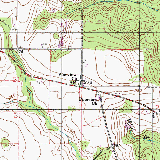 Topographic Map of Pineview Church, AL
