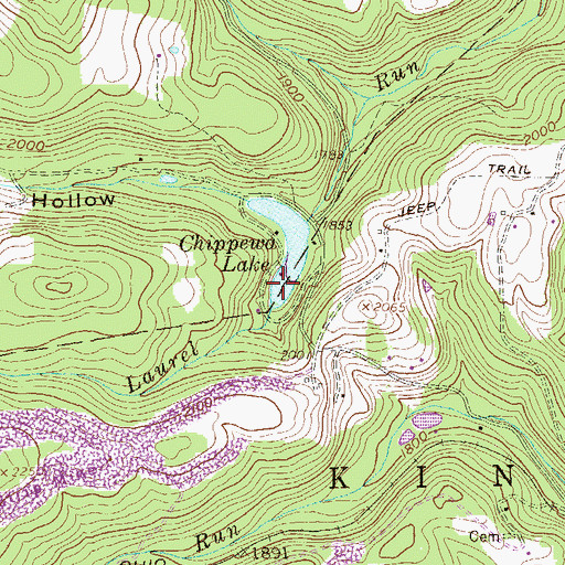 Topographic Map of Chippewa Lake, WV