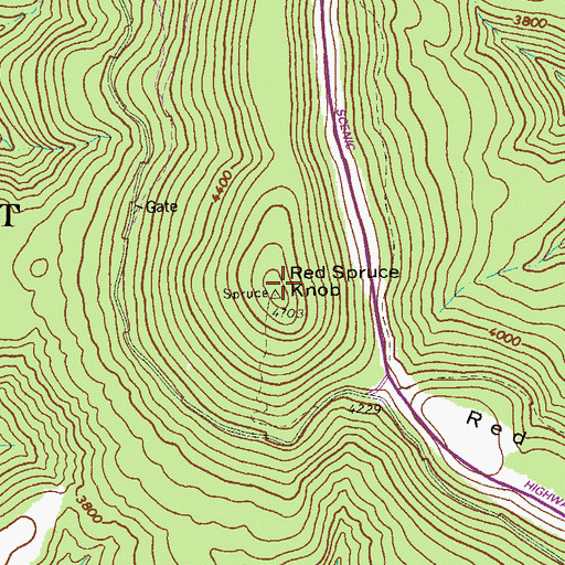 Topographic Map of Red Spruce Knob, WV