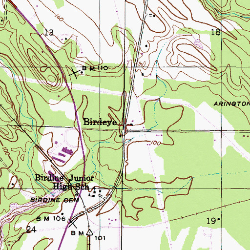 Topographic Map of Birdeye, AL