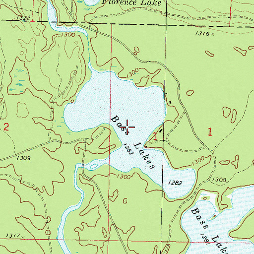 Topographic Map of Bass Lakes, WI