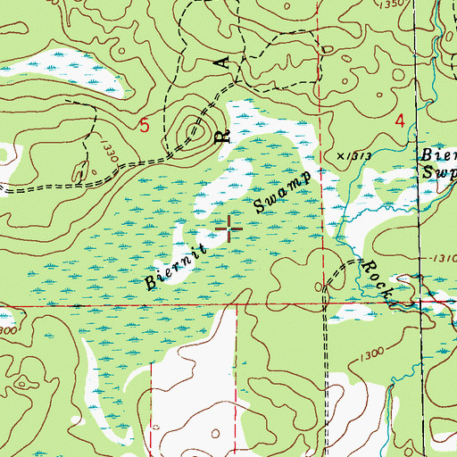 Topographic Map of Biernit Swamp, WI