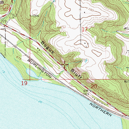 Topographic Map of Bogus Bluff, WI