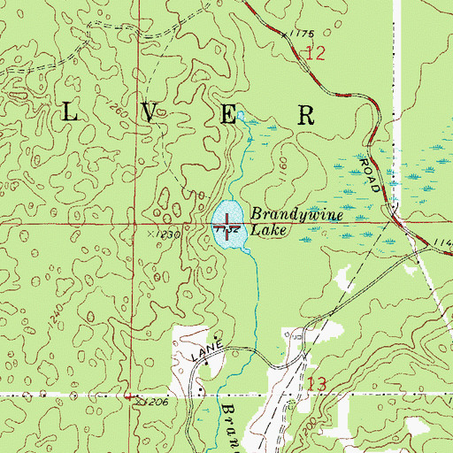 Topographic Map of Brandywine Lake, WI