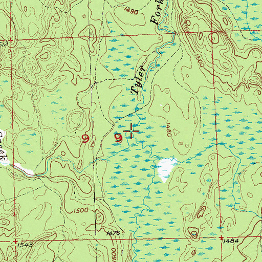 Topographic Map of Bull Gus Creek, WI