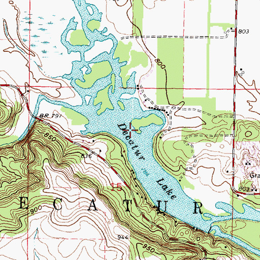 Topographic Map of Decatur Lake, WI