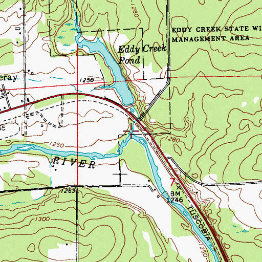 Topographic Map of Eddy Creek, WI