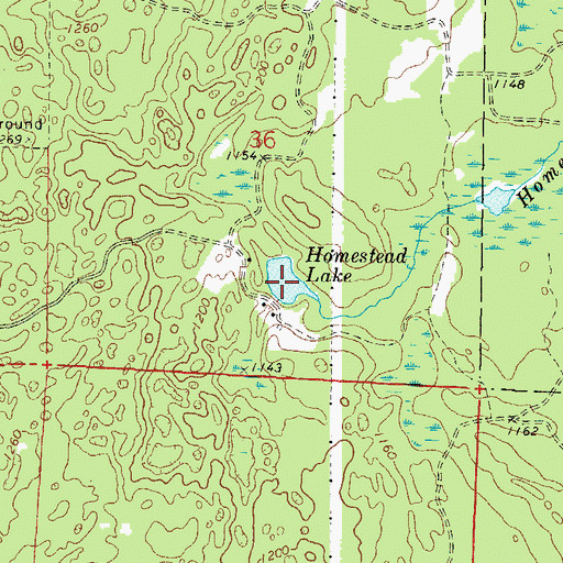 Topographic Map of Homestead Lake, WI