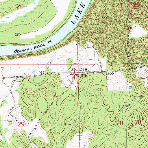 Topographic Map of Nellie, AL