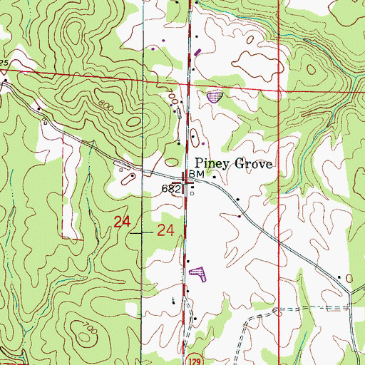 Topographic Map of Piney Grove, AL