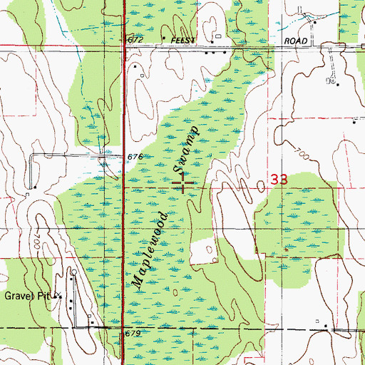 Topographic Map of Maplewood Swamp, WI