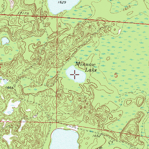 Topographic Map of Minnow Lake, WI