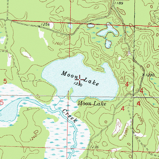 Topographic Map of Moon Lake, WI