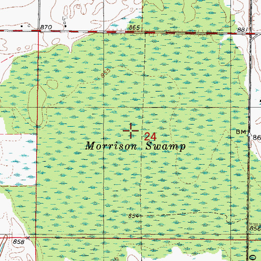 Topographic Map of Morrison Swamp, WI