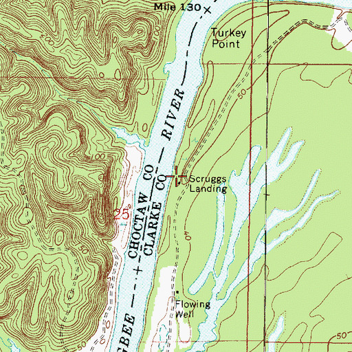 Topographic Map of Scruggs Landing, AL