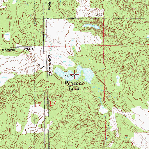 Topographic Map of Peacock Lake, WI
