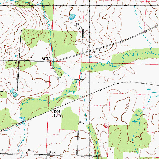 Topographic Map of Pet Brook, WI