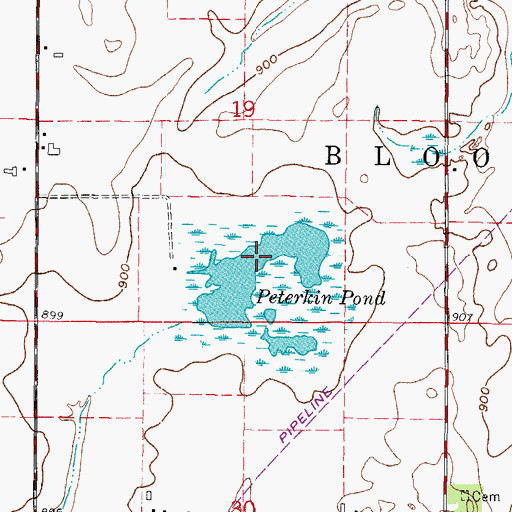 Topographic Map of Peterkin Pond, WI