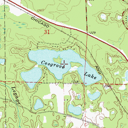 Topographic Map of Cosgrove Lake, WI