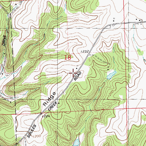 Topographic Map of Ryan Ridge, WI